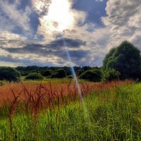 Вечер, лето :: Наталья Лакомова