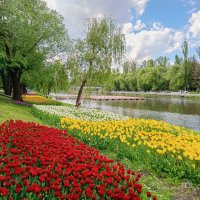 Весна в Белгороде :: Игорь Сарапулов