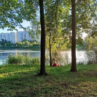 У реки. В лучах заходящего солнца. :: Мария Васильева