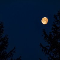 Убывающая Луна :: Николай Зиновьев