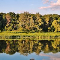 Параллельные миры Хопра. :: Восковых Анна Васильевна 