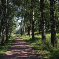 Павловск. Парк Мариенталь. :: Наталья Лунева 