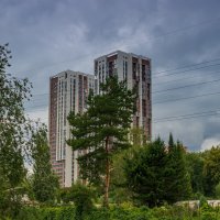 Фото.25.07.2024.Екатеринбург.Пасмурным днём в Ботаническом Саду :: Михаил Пименов