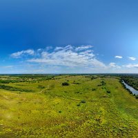 Панорама летней природы в лугах :: Александр Синдерёв