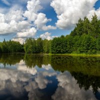 Тишь да гладь :: Андрей Дворников