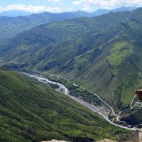 Дагестан. Шамильский район. Гоор. Каньон реки Аварское Койсу :: Ольга Кирсанова