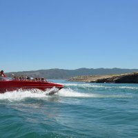 Дагестан. Буйнакский район. Чиркейское водохранилище. :: Ольга Кирсанова