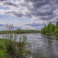 По берегу реки :: Сергей Цветков