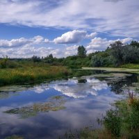 Речка Уса... :: Влад Никишин