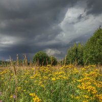 предгрозье :: Валентина. .