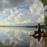 В августе :: Алексей Чистополов