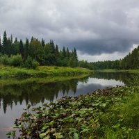 Перед грозой :: Александр Гладких