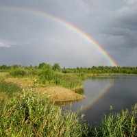 Двойная радуга :: Нэля Лысенко