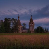 Сенокос некошенный, лес да монастырь :: Дмитрий Шишкин