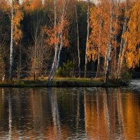 Вечерний остров...... :: Юрий Цыплятников