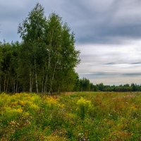 Скоро осень :) :: Андрей Дворников