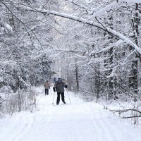 На лыжне :: Александр Ильчевский 