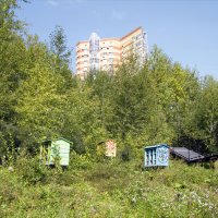 В Долине реки Егошихи :: Евгений Шафер