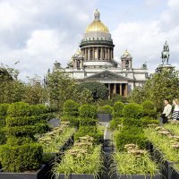 Прогулки по Петербургу. :: Лариса С.