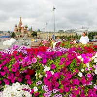 Москва в цветах :: Татьяна Семенова