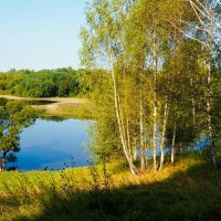 Ещё жарко по-летнему, но осень наступает. :: Милешкин Владимир Алексеевич 