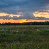 Природа России: Русский пейзаж на закате :: Дарья Меркулова