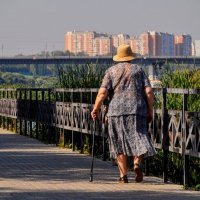 И не в шляпке дело ! А в черепахах ! ,,,) :: Анатолий Колосов