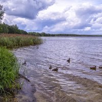 На озере Рюмниково :: Сергей Цветков