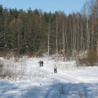 Долина реки Лапки ранней весной :: Александр Ильчевский 