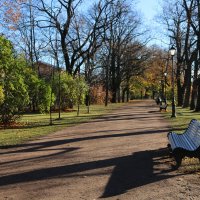 В осеннем парке :: Ольга 