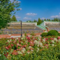 Оранжереи в Царицыно :: Ольга 