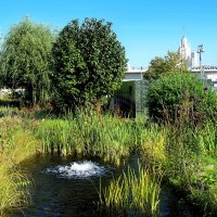 Погружение в природу в центре столицы. :: Татьяна Помогалова