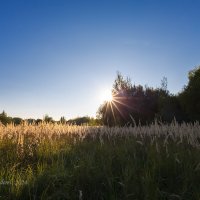 Солнце клонилось к закату :: Александр Синдерёв