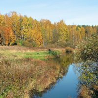 Река Лапка :: Александр Ильчевский 