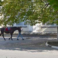 Выйду в поле ночью с конем :: Девяткин Юрий 