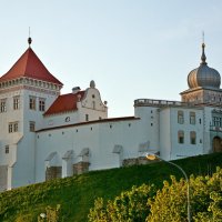 Гродно,Беларусь. Старый замок :: Владислав Иопек