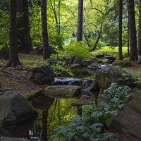 В японском саду(2). :: Сергей Фомичев