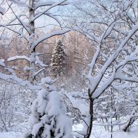 В лесопарке :: Александр Ильчевский 