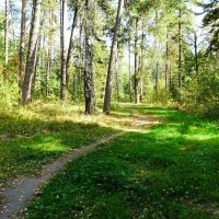 Смоленская осень. :: Милешкин Владимир Алексеевич 