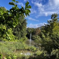 Тихо в парке. На озере /Der Tierpark am Röhrensee - Bayreuths lebendiger Süden/. :: "The Natural World" Александер