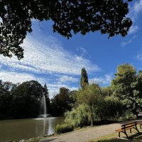 Тихо в парке. На озере /Der Tierpark am Röhrensee - Bayreuths lebendiger Süden/. :: "The Natural World" Александер