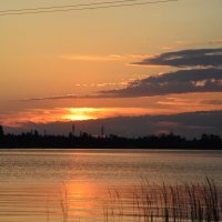 Дорожка на воде. :: Виктор 