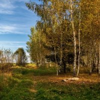 Осень он не спросит .... :: Андрей Дворников