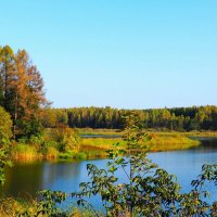 Наша осень. :: Милешкин Владимир Алексеевич 