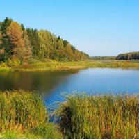 Смоленские озёра (репортаж из поездок по области). :: Милешкин Владимир Алексеевич 