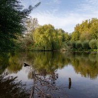 Пруд в октябре... :: Николай Гирш