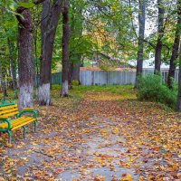 В осеннем парке :: Валерий Иванович