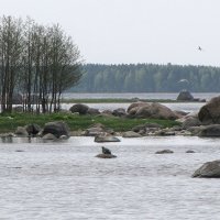 Залив :: Александр Ильчевский 