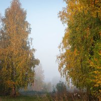 Осенние мотивы. :: Вадим Басов