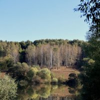 Лишь отражение в воде... :: Александр Кондаков